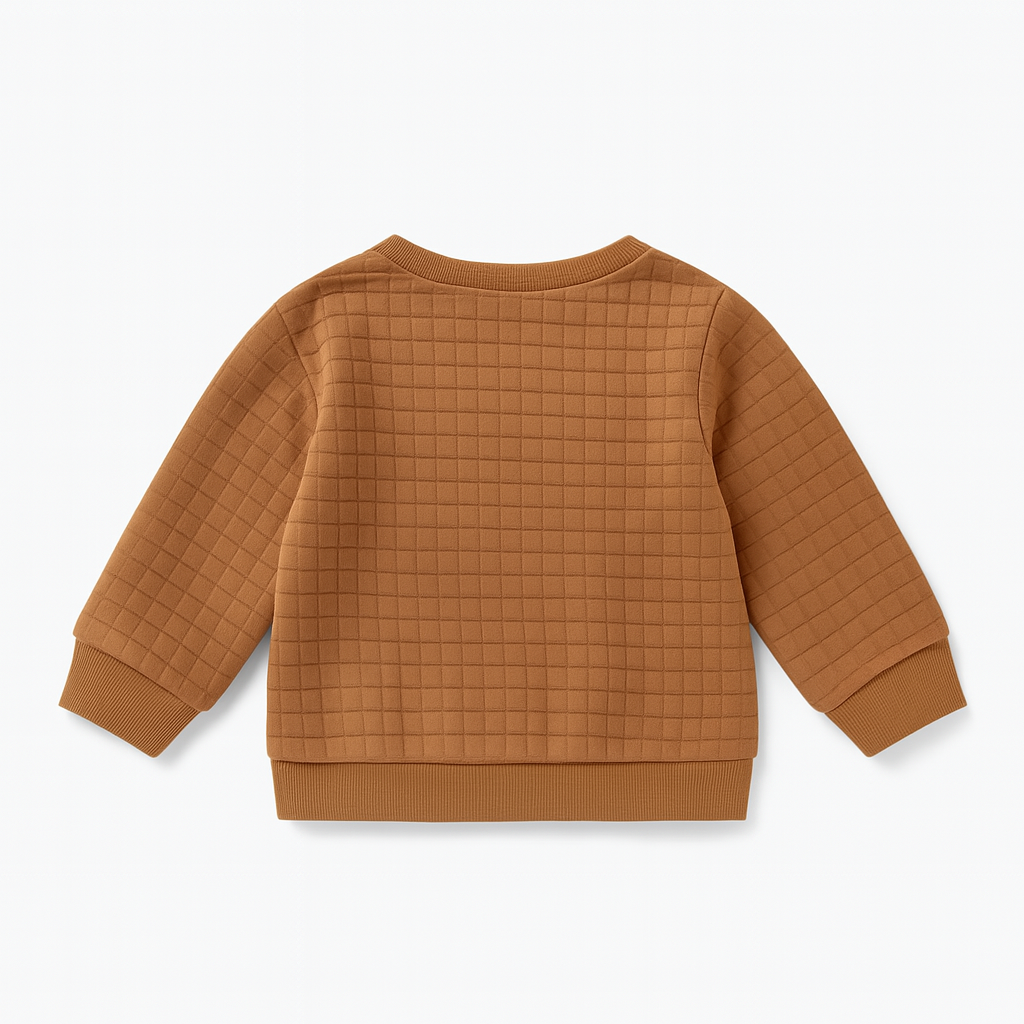 Brown Dinosaur Baby Sweatshirt