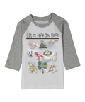 Let Me Hear Your Roar 7 Dinosaurs Gray Raglan Tee